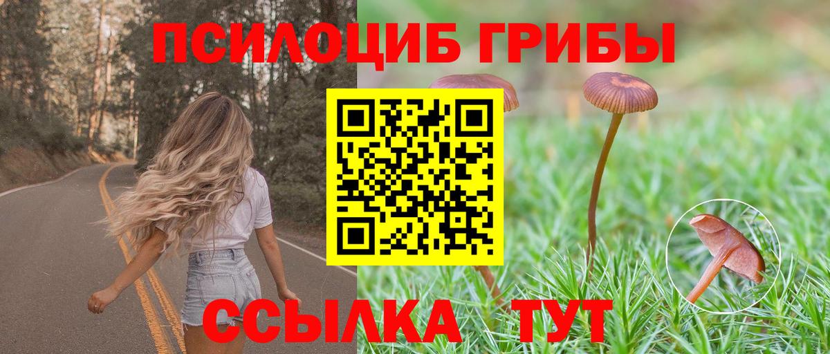 Галлюциногенные грибы Psilocybe  Вход с VPN  Бузулук 